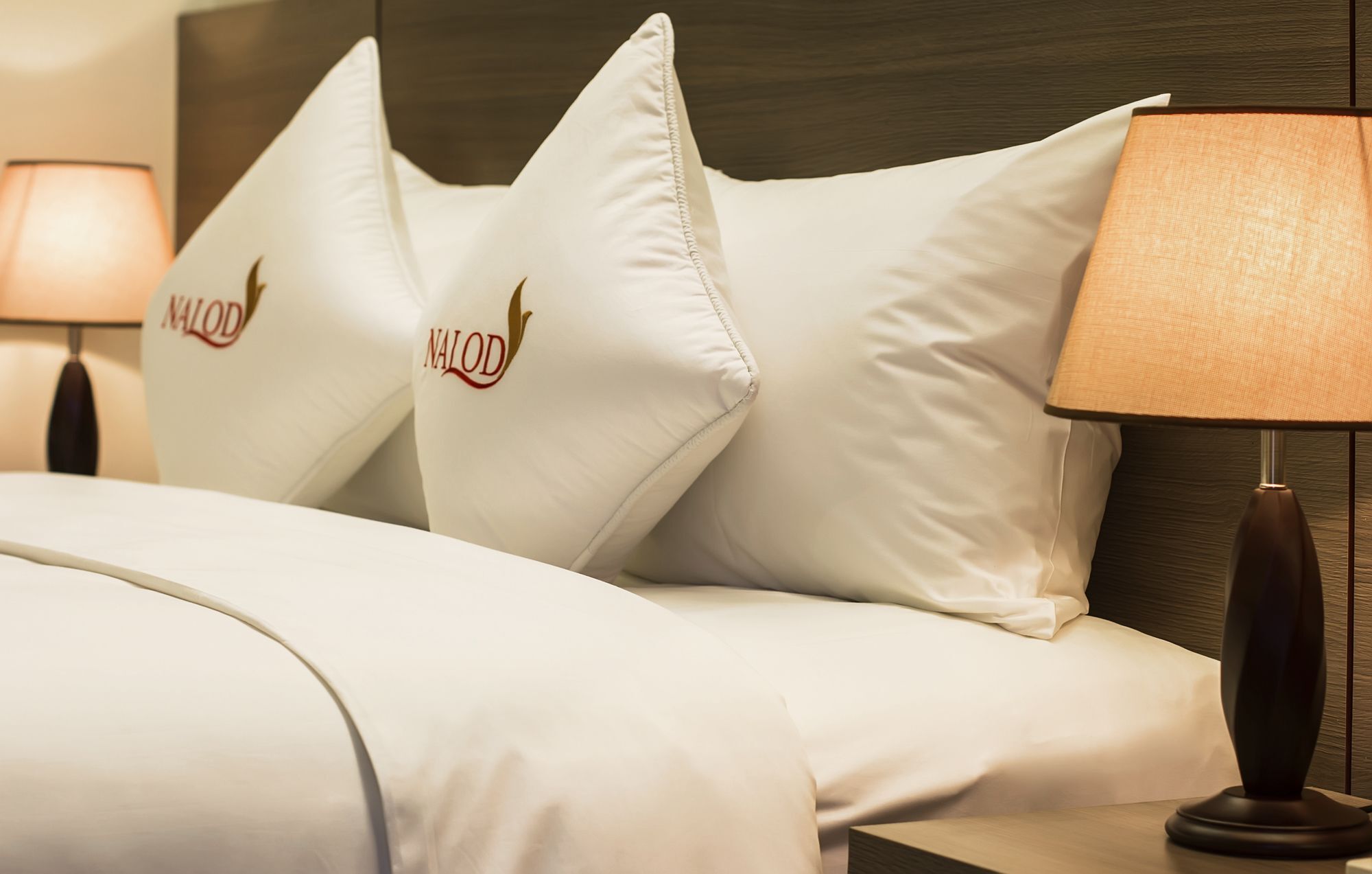 Hotel The Nalod Đà Nẵng Extérieur photo